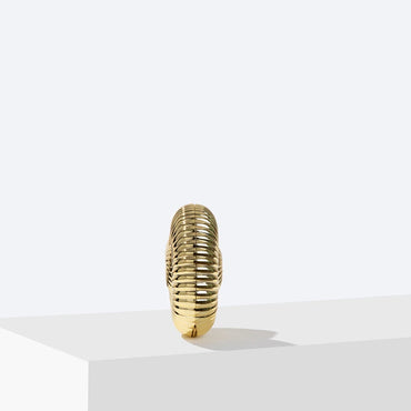 Acrylic Conch Shape Evening Clutch with strap