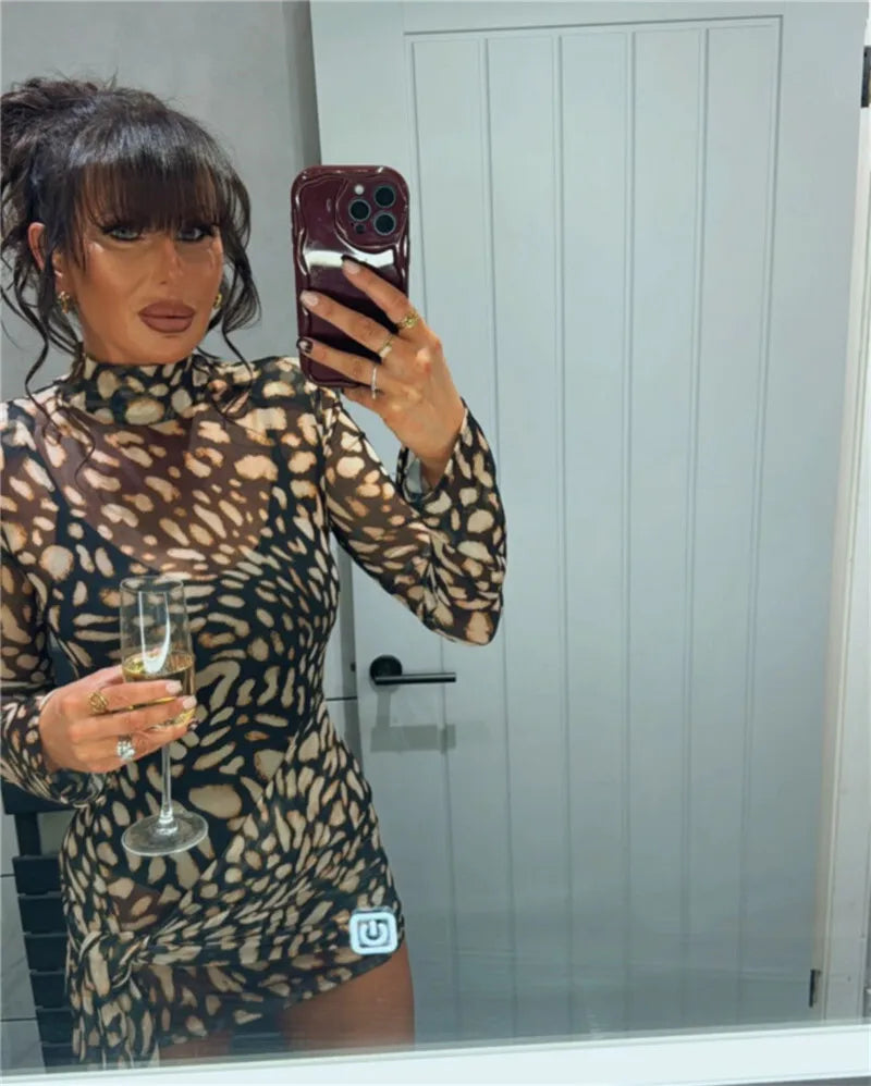 Mesh Leopard Print Sexy Mini Dress