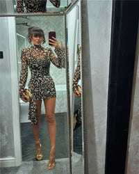 Mesh Leopard Print Sexy Mini Dress