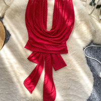 Halter Lace Up Backless Shiny Swing Collar Mesh Top