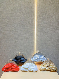 Luxurious Chic Clutch Purse