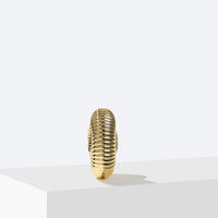 Acrylic Conch Shape Evening Clutch with strap