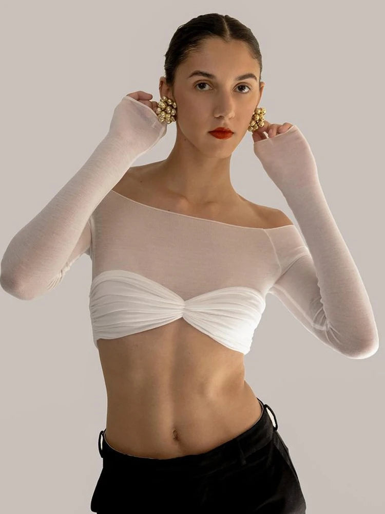 See Through Mesh Crop Top