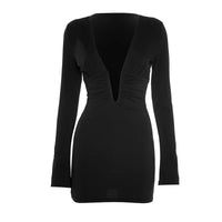 Deep V Neck Long Sleeve Sexy Mini Dress
