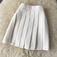Single Breasted Basic Camisole+Zipper Design Pleated Skirt Set