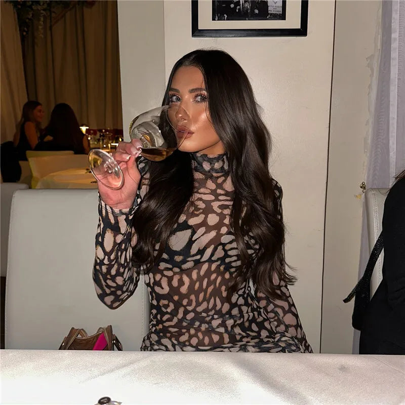 Mesh Leopard Print Sexy Mini Dress