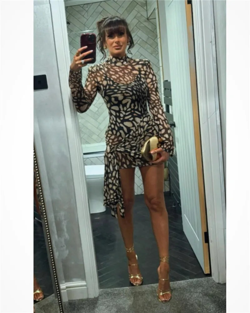 Mesh Leopard Print Sexy Mini Dress