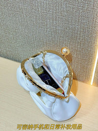 Luxurious Chic Clutch Purse