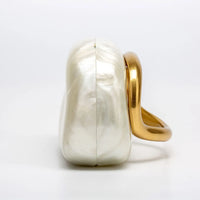 Closure Clutch Evening Bag