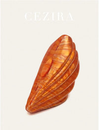 Hot Coral Seashell Bag