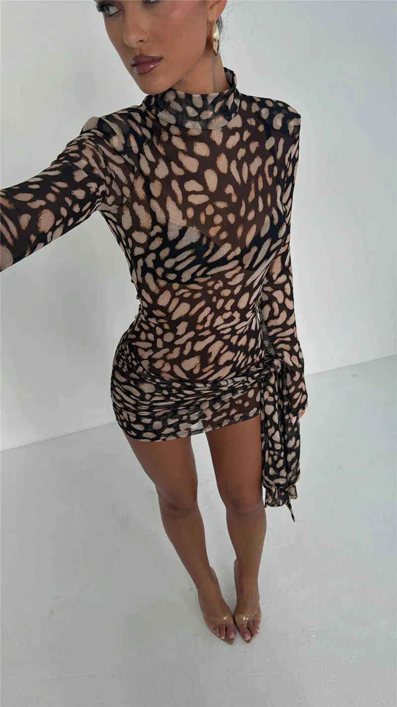 Mesh Leopard Print Sexy Mini Dress