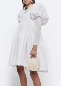 Pearl beaded Acrylic Handbag